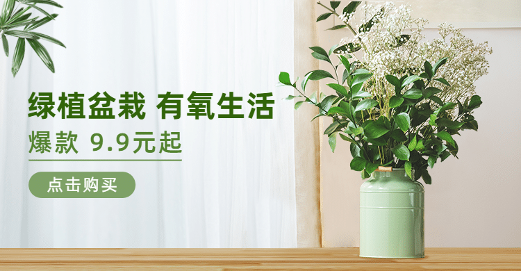 简约植物盆栽海报banner预览效果