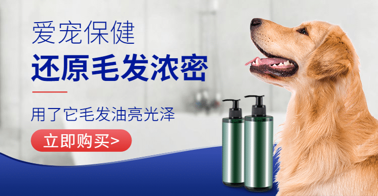 简约宠物洗护用品海报banner