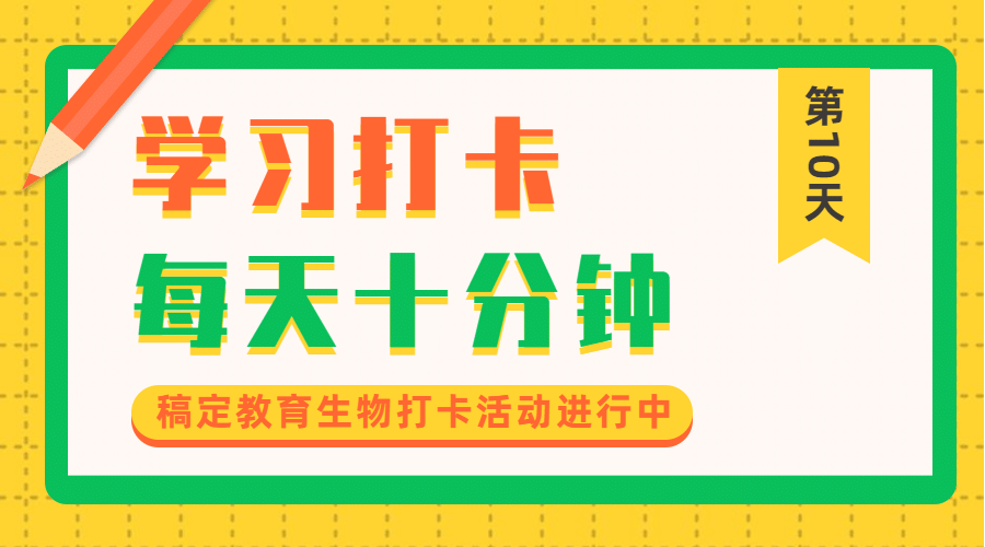 教育打卡课程直播横版广告banner