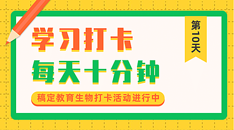 教育打卡课程直播横版广告banner