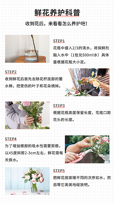 花店鲜花科普宣传海报