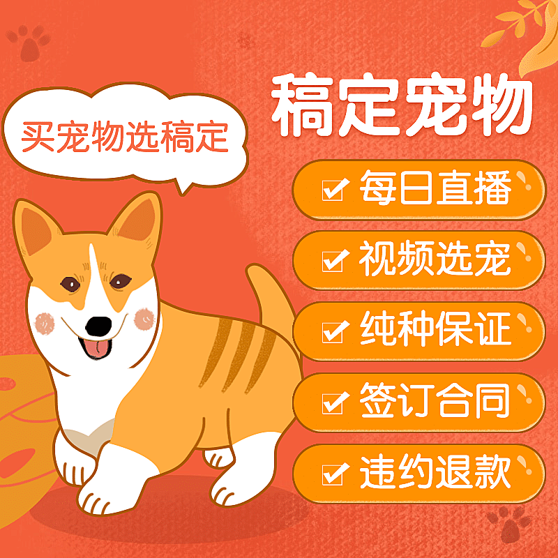 手绘宠物直播直通车主图