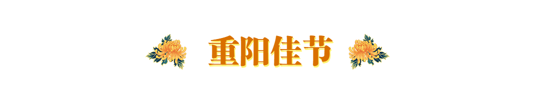 重阳节登高赏菊简约动态分割线预览效果