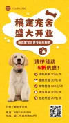 宠物店价目表会员海报