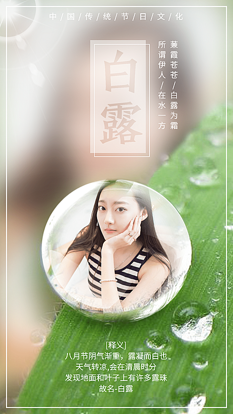 白露简约清新节气海报