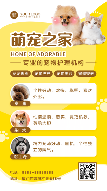 宠物介绍展示活动手机海报预览效果