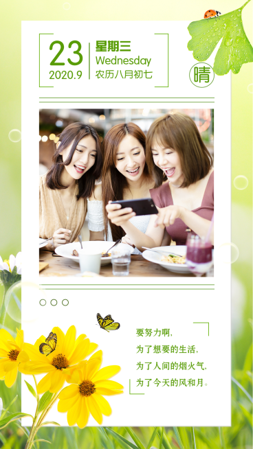日签问候每日一签实景花朵清新晒照预览效果