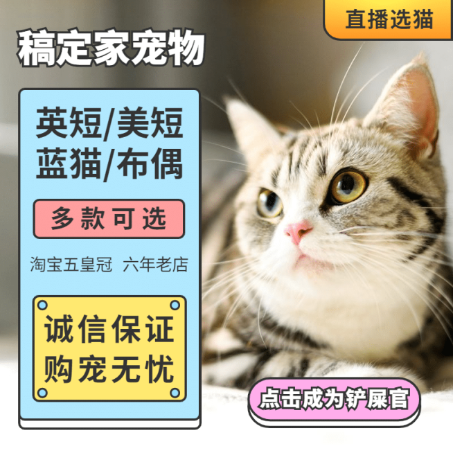 宠物售卖直播主图预览效果