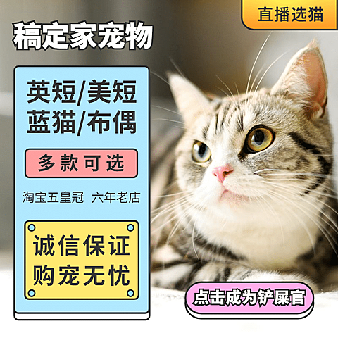 宠物售卖直播主图
