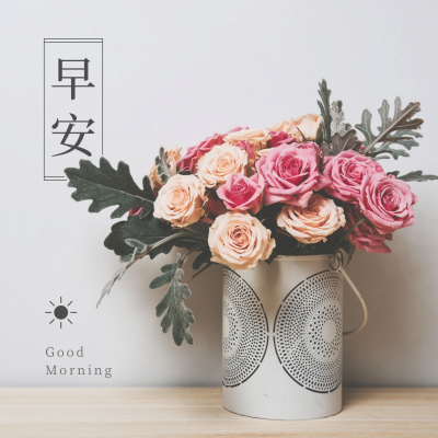 早安问好鲜花唯美方形问候