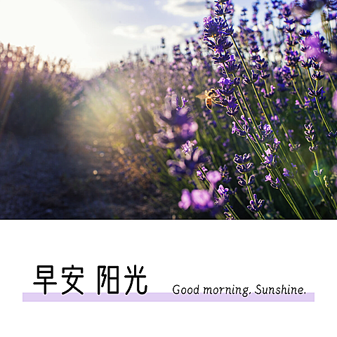 早安阳光风景唯美方形问候海报