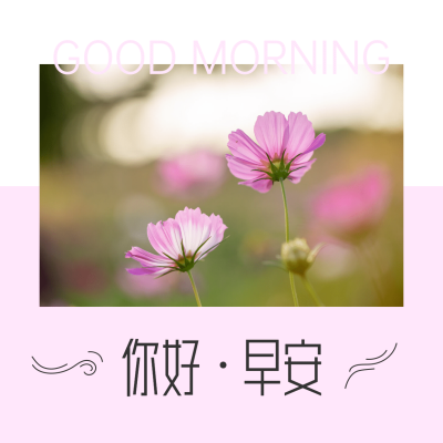你好早安花朵唯美文艺问候方形海报