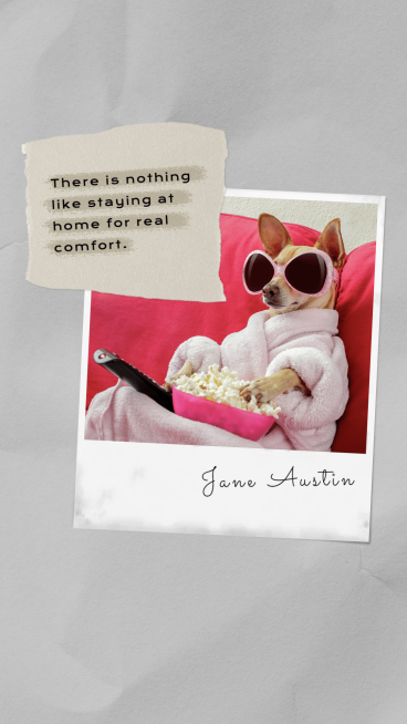 Pet Products Display Template Simple Style Poster Ecommerce Story预览效果