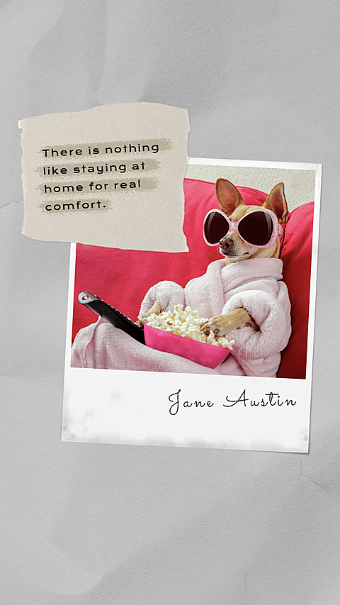 Pet Products Display Template Simple Style Poster Ecommerce Story