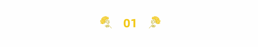 重阳节登高赏菊标题框简约动态分割线预览效果