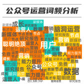 模板缩略图
