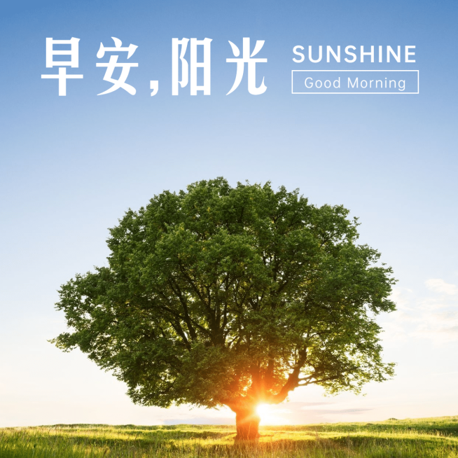 早安阳光风景方形问候预览效果