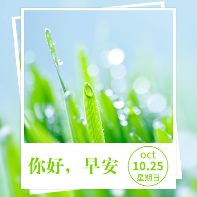 方形日签早安问候实景静物