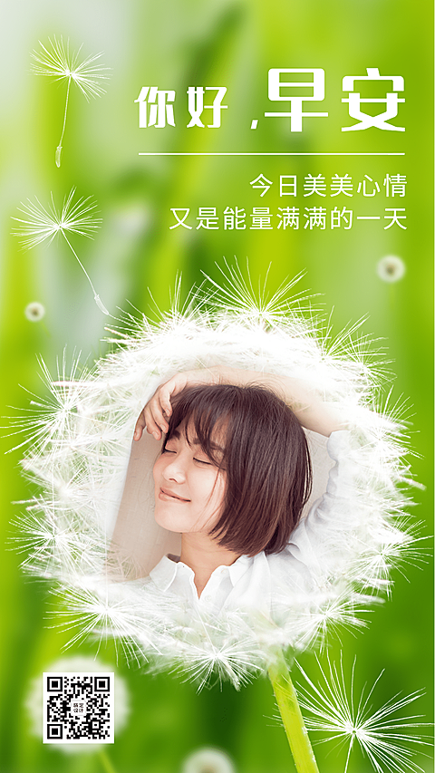 早安问候蒲公英实景晒图