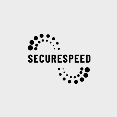 Secure Speed Template Logo Image