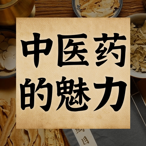 世界传统医药日养生公众号次图预览效果