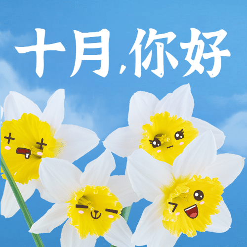 十月问候正能量实景静物公众号次图预览效果