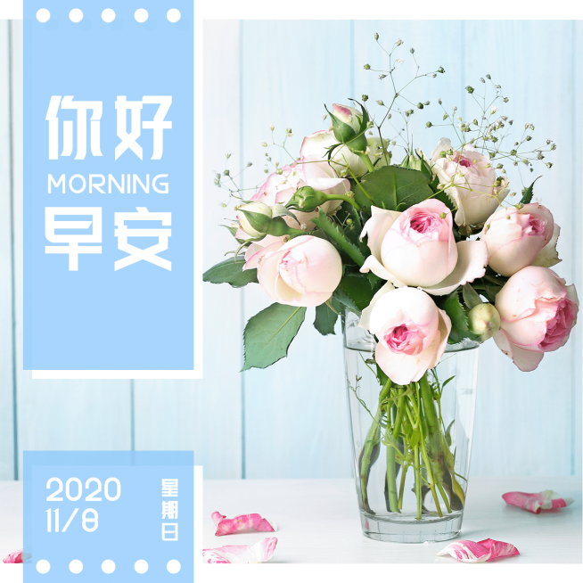 方形日签早安花朵静物展示预览效果