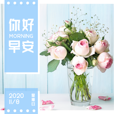 方形日签早安花朵静物展示