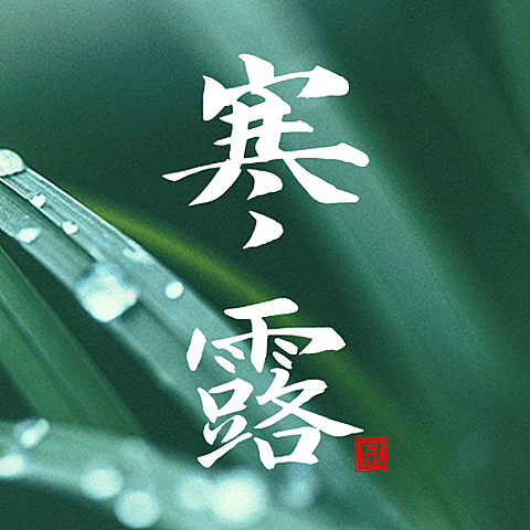 寒露节气秋天早安绿植公众号次图