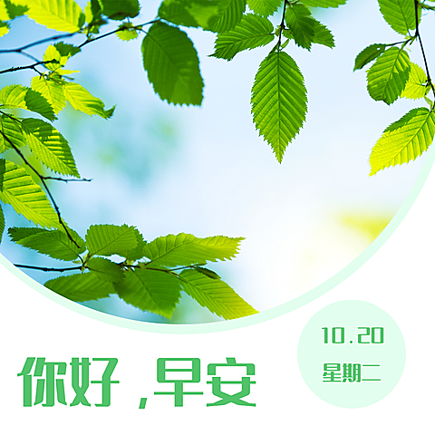 日签早安问候实景正能量方形海报