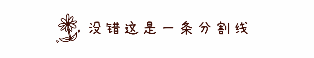 简约文艺创意动态分割线预览效果
