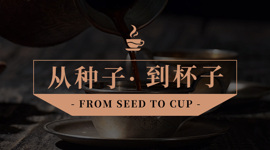 咖啡预约课程直播横版广告banner预览效果