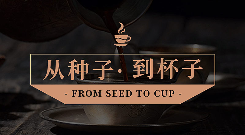 咖啡预约课程直播横版广告banner
