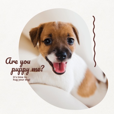 Cute Puppy Ecommerce Product Image