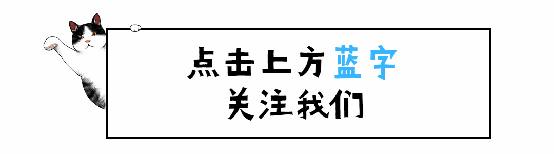 萌宠宠物可爱猫咪动态引导关注预览效果
