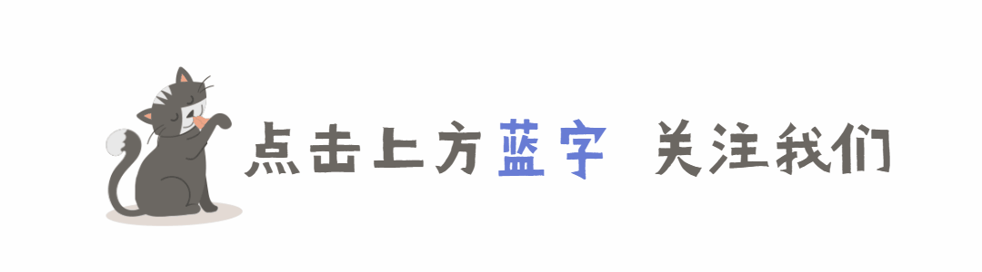 萌宠宠物可爱猫咪动态引导关注预览效果