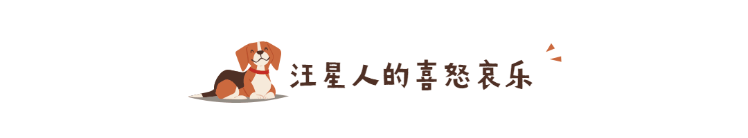 萌宠宠物可爱狗狗动态分割线预览效果