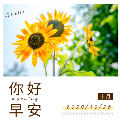 日签早安实景静物清新文艺方形海报