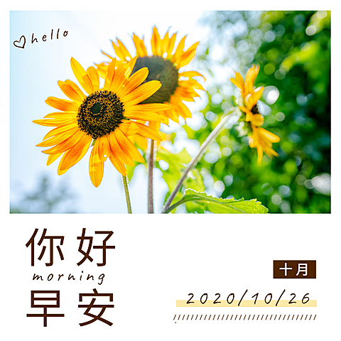 日签早安实景静物清新文艺方形海报