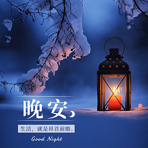 日签晚安实景静物清新文艺方形海报