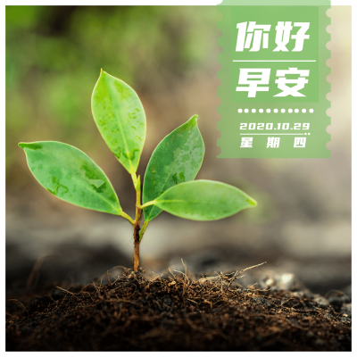 日签你好早安实景静物简约方形海报