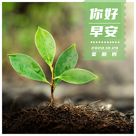 日签你好早安实景静物简约方形海报
