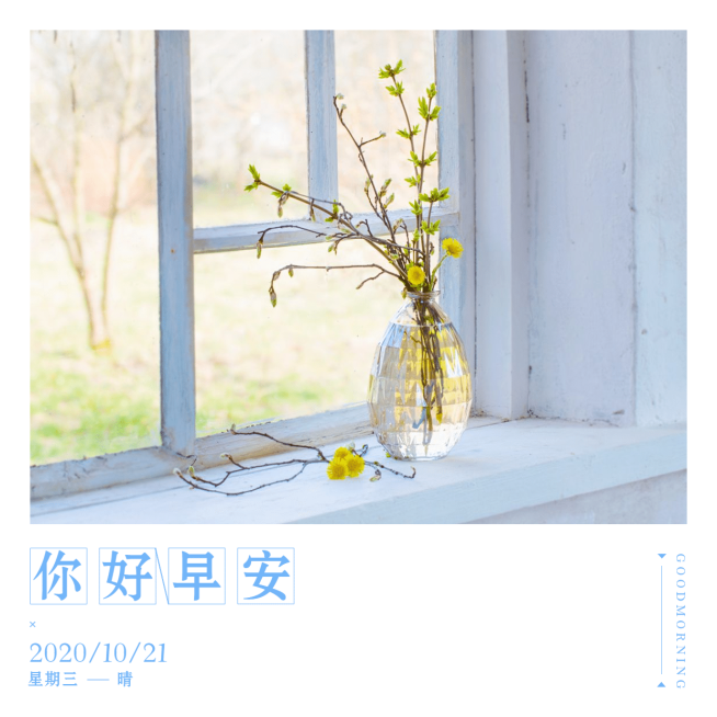 方形日签早安实景静物清新淡雅预览效果