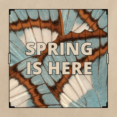 Retro Spring Travel Record Instagram Post