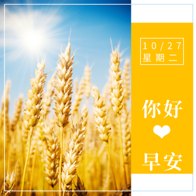 方形日签早安问候实景静物