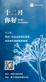 模板缩略图