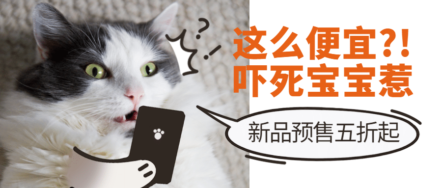 双十二双12萌宠宠物店新品可爱猫主图公众号首图预览效果