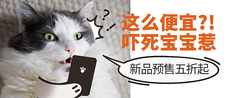 双十二双12萌宠宠物店新品可爱猫主图公众号首图