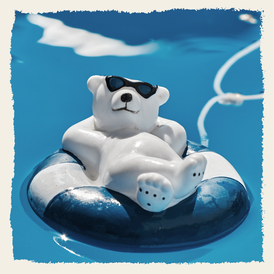 Cute Bear Swimming Simple Frame Art Fashion Style Instagram Post预览效果
