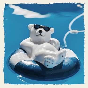 Cute Bear Swimming Simple Frame Art Fashion Style Instagram Post